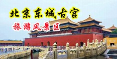 日本美女吃大鸡巴中国北京-东城古宫旅游风景区